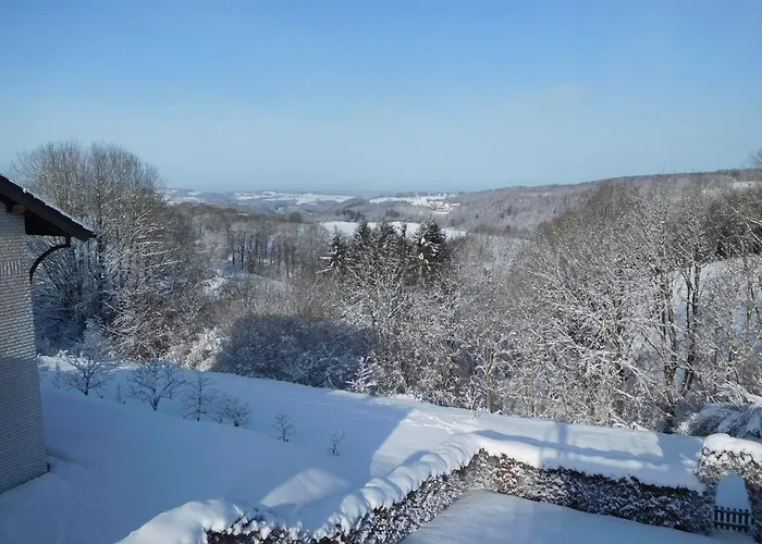 Charly هيلينثال