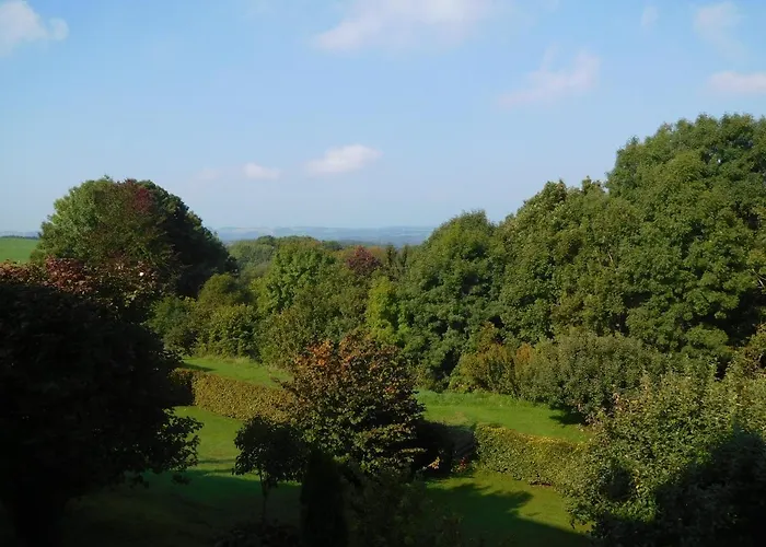 Charly * هيلينثال